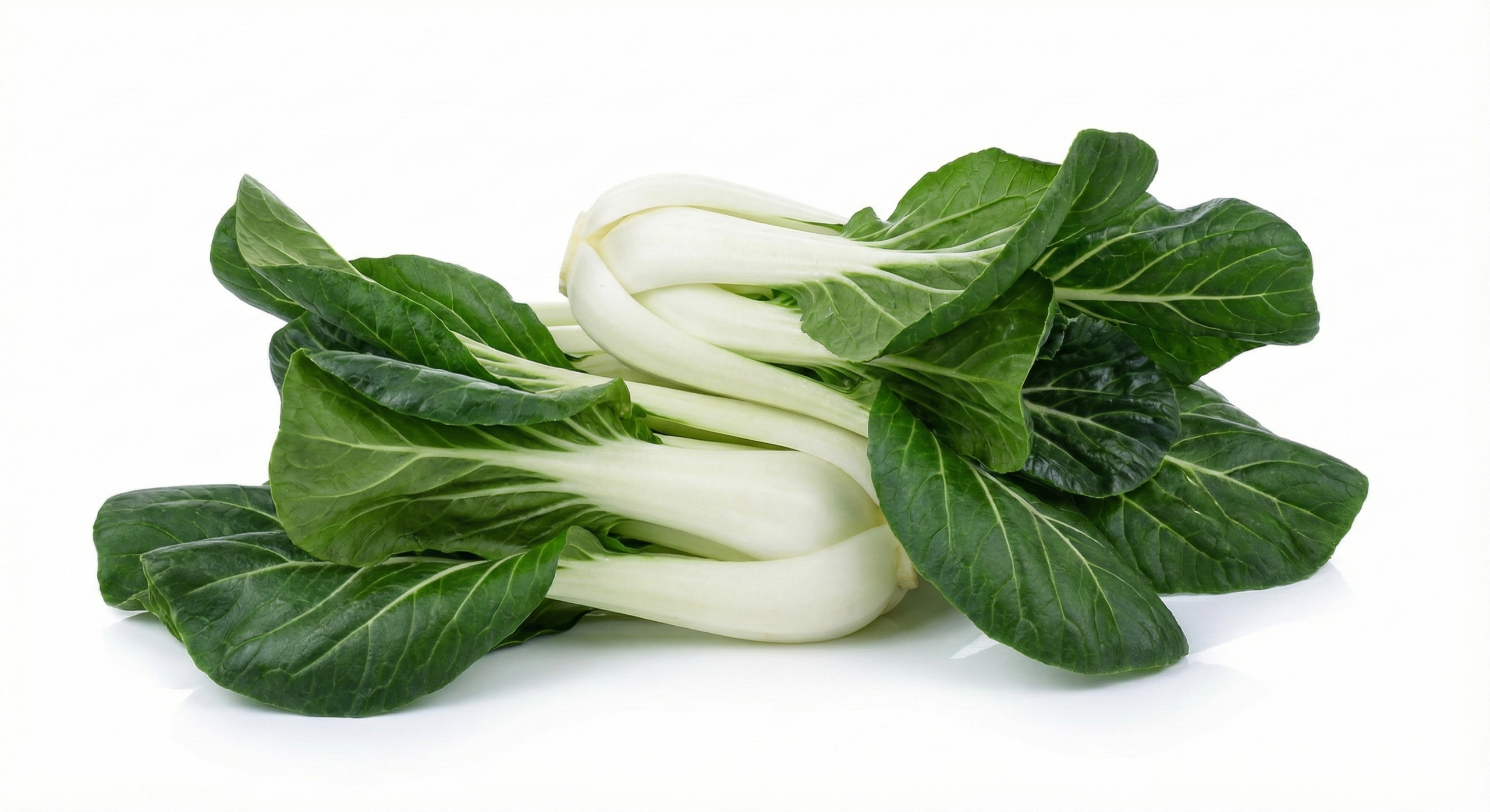 Fresh Pokchoi (Bok Choy) - Bundle of 4 Stems